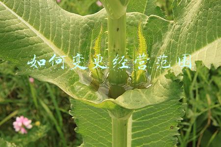 个体工商户怎样变更经营范围（个体工商户如何变更经营范围）