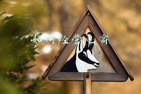 电商怎么操作运营-电商怎么操作运营,怎么做好,现在做了三个月好想放弃