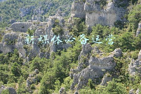 新媒体必备运营