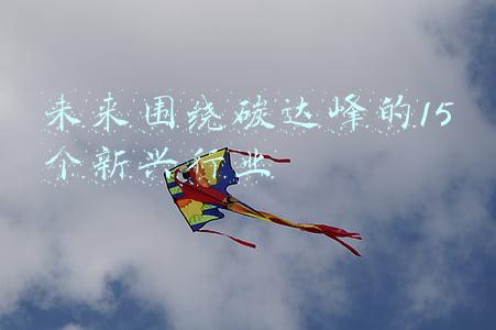 碳达峰碳中和相关产业(碳达峰及碳中和背景下的光伏产业发展分析)