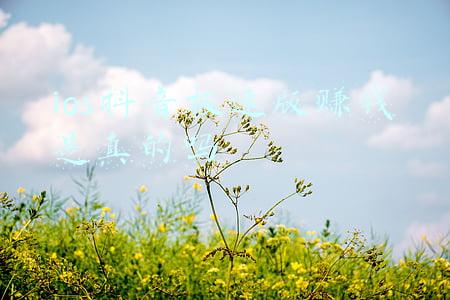 ios抖音极速版赚钱是真的吗