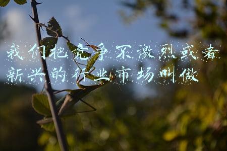 我们把竞争不激烈或者新兴的行业市场叫做