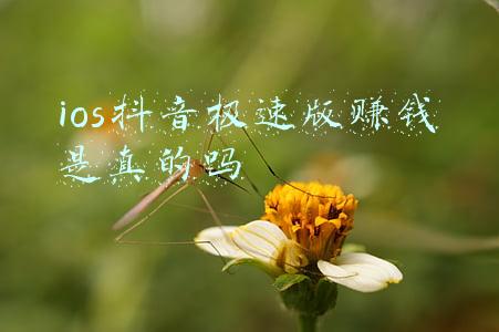 ios下载软件赚钱(给大家发个福利，手机下载软件试玩就能赚点零花钱，本人亲测)