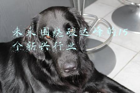 为什么要推进碳达峰(卢纯｜深刻理解碳达峰、碳中和目标的重大历史意义)