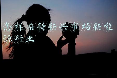 怎样看待新兴市场新能源行业