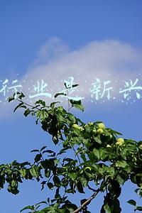 家具的发展(行业深度！十张图了解2021年全球智能家居设备市场现状及发展趋势)