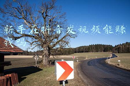 新手在抖音发视频能赚钱吗