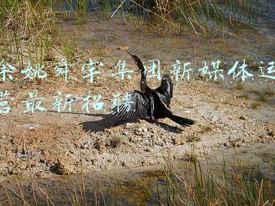 余姚舜宇集团新媒体运营最新招聘