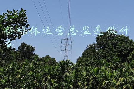 新媒体运营总监是做什么