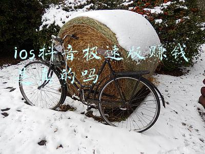 ios抖音极速版赚钱是真的吗
