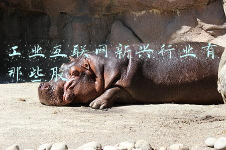 工业互联网新兴行业有那些股
