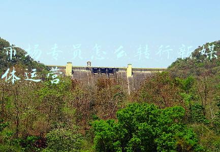 市场专员怎么转行新媒体运营