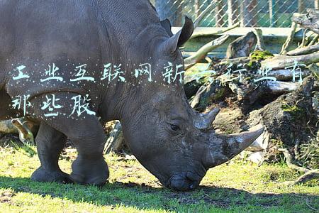 工业互联网新兴行业有那些股