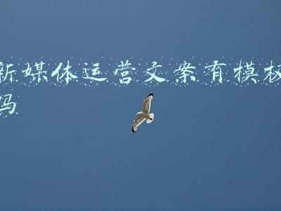 新媒体运营文案有模板吗