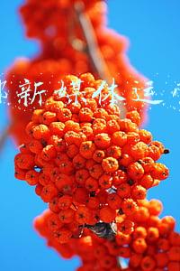 人社部全媒体运营师(资质认证｜知识改变命运，让技能点亮闪光人生)