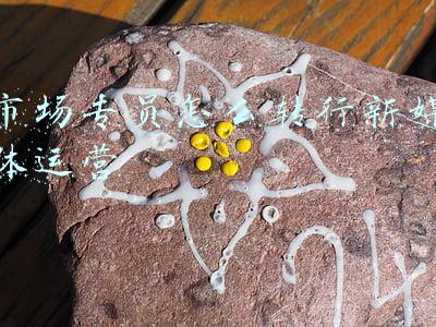 市场专员怎么转行新媒体运营