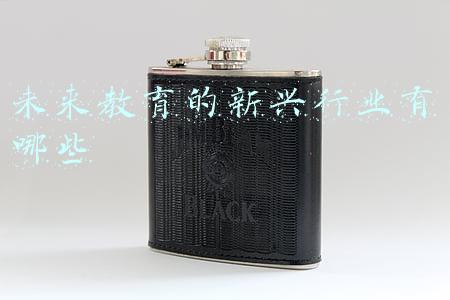 未来教育的新兴行业有哪些