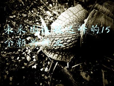 未来围绕碳达峰的15个新兴行业