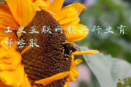 工业互联网新兴行业有那些股