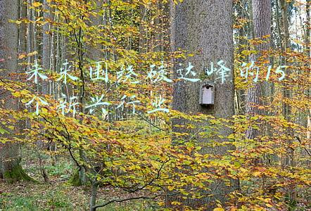 围绕碳达峰(坚持“全国一盘棋”统筹确定地区、行业梯次实现碳达峰的目标)