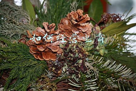 京东电商经营条例;京东运营规则