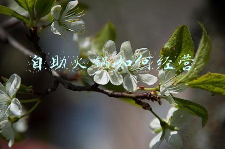 自助火锅如何经营模式；自助火锅的经营方法