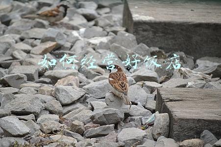 如何经营好一家餐饮店_如何经营好一家饭店