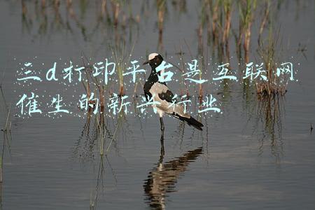 三d打印平台是互联网催生的新兴行业