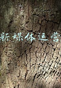 自建新媒体运营团队