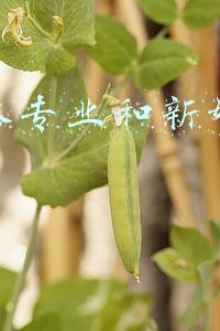 新媒体运营专业大学(南京传媒学院的过去，你知道吗？（附播音与主持艺术学院介绍）)