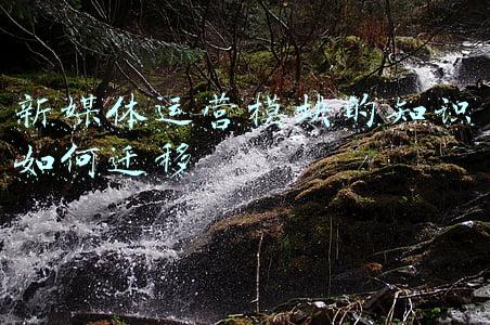 新媒体运营模块有哪些(新媒体运营入门书籍 |看完直接转行8K+offer新媒体运营)