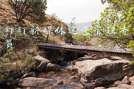 钉钉推广专员(用文档开好一场会，钉钉推出协作新品“钉闪会”)
