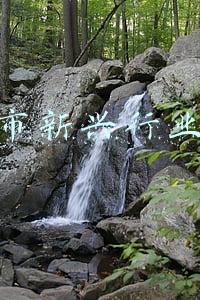 商洛市服务业发展中心(商洛学院设立“政协·院校”合作协商交流中心)