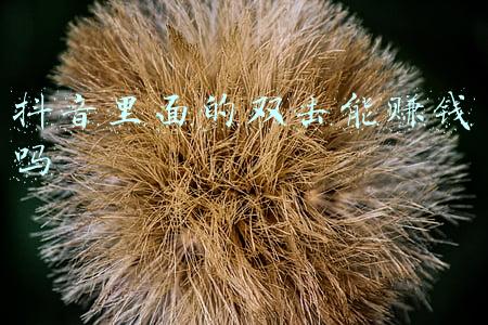 抖音刷双击赞(号称招聘抖音、快手点赞员，新型网络兼职骗局又来坑人了！)