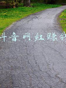 抖音网红真的可以赚几百万吗(三个孩子的宝妈，靠抖音直播月入百万！日入5位数，太厉害了)