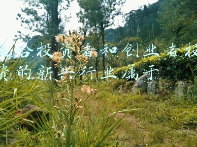 新兴际华投资(一口气招26人 新兴际华投资面向社会公开招聘)