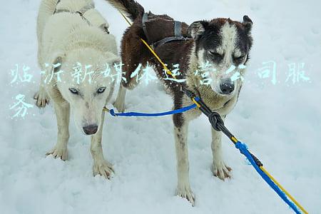 临沂自媒体(格力电器（临沂）智能制造基地项目奠基仪式圆满举行)