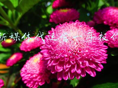 新媒体代运营一年报价 新媒体代运营一年报价