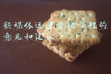 新媒体运营的缺点(自媒体创业优缺点)