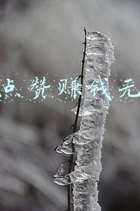 抖音点赞2000元入会费(点个赞能挣1块钱？诱饵仅需3毛！记者卧底“兼职群”揭秘套路)