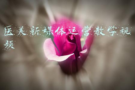 医美新媒体运营教学视频