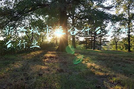 新兴城市适合什么厂什么行业