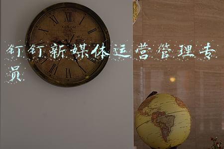 钉钉新媒体运营管理专员
