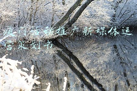 厦门活动推广新媒体运营策划书