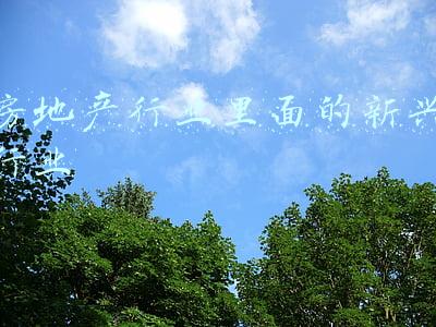 房地产行业里面的新兴行业