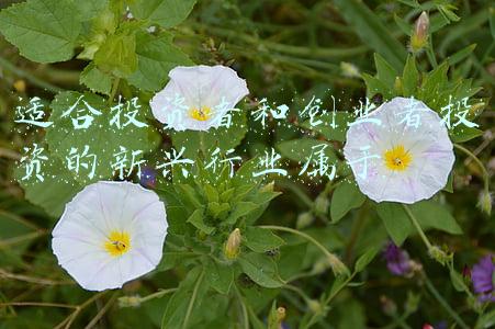 新兴产业投资(海富产业投资董事长李保国：战略新兴产业投资重点布局三个方面)