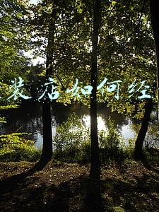 如何经营好一个童装店-如何经营好一家童装店