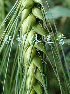 装修公司的最新营销模式(乐后屋装企精灵，装饰家装公司怎么做网络营销运营方案是什么？)