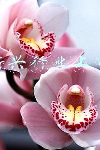 今年新兴行业上市公司