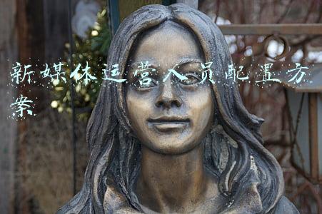 新媒体运营人员配置方案